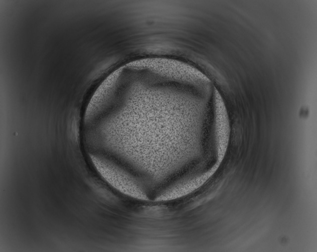 X0000102830446200809081159