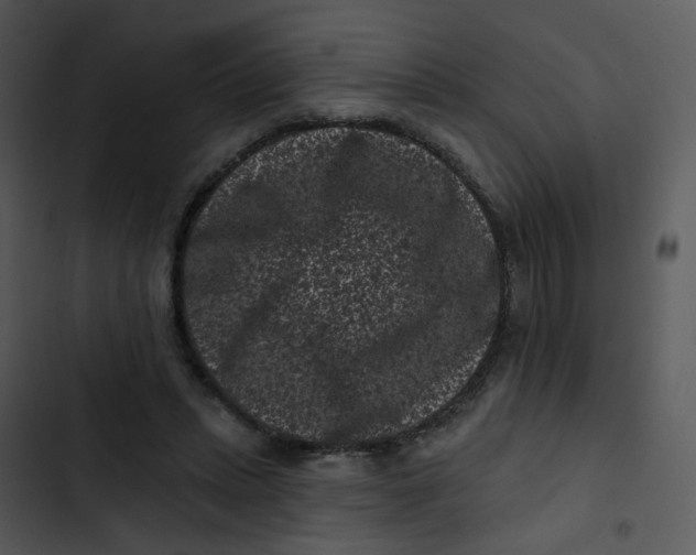 X0000102830447200809081159