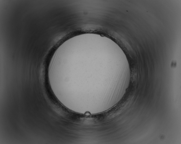X0000102830448200809081159