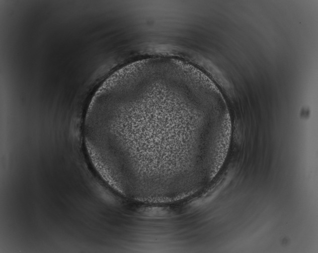 X0000102830449200809081159
