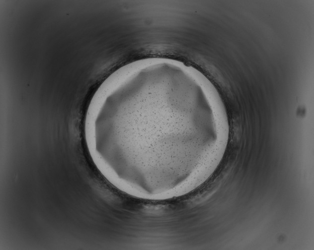 X0000102830450200809081159