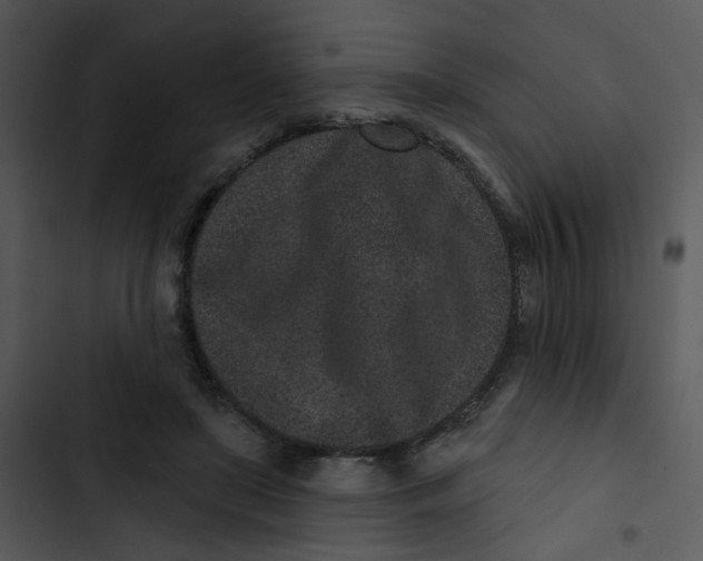 X0000102830451200809081159