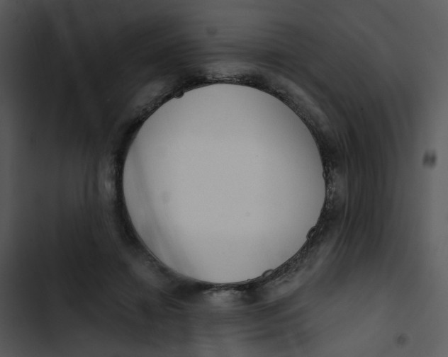 X0000102830452200809081159
