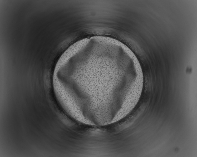 X0000102830453200809081159