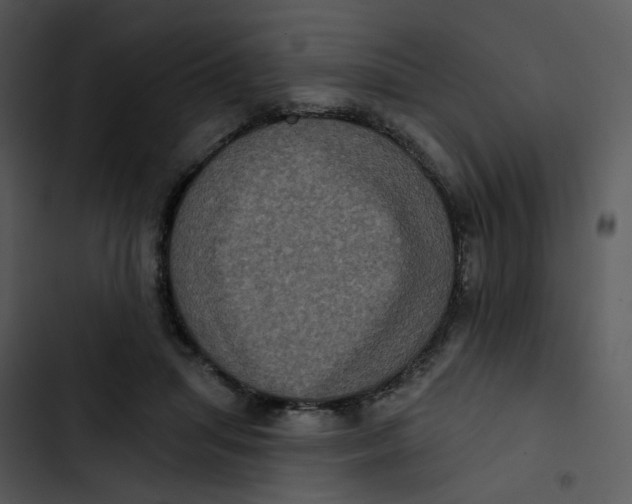 X0000102830455200809081159