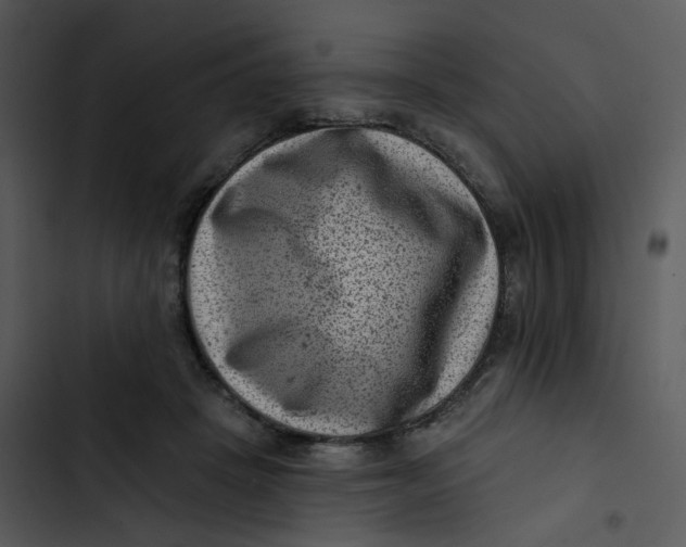 X0000102830457200809081159