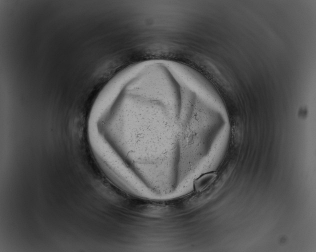 X0000102830458200809081159