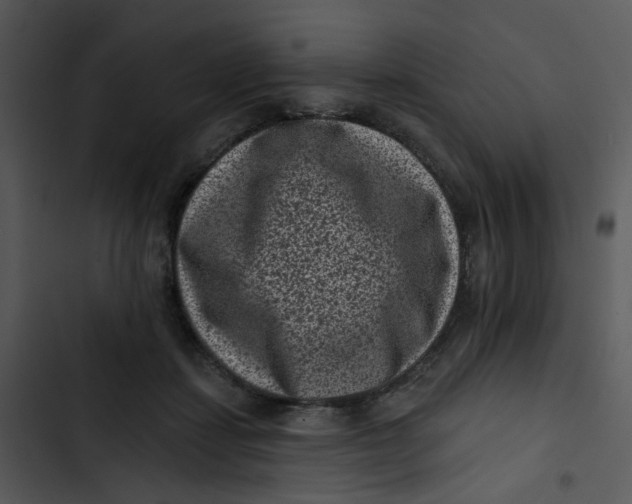 X0000102830459200809081159