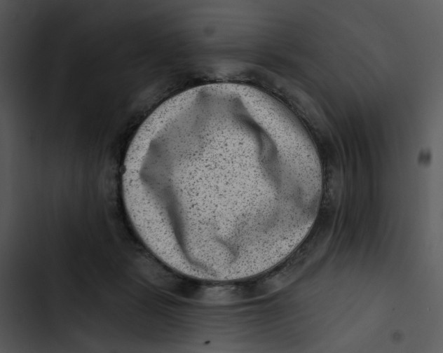 X0000102830461200809081159