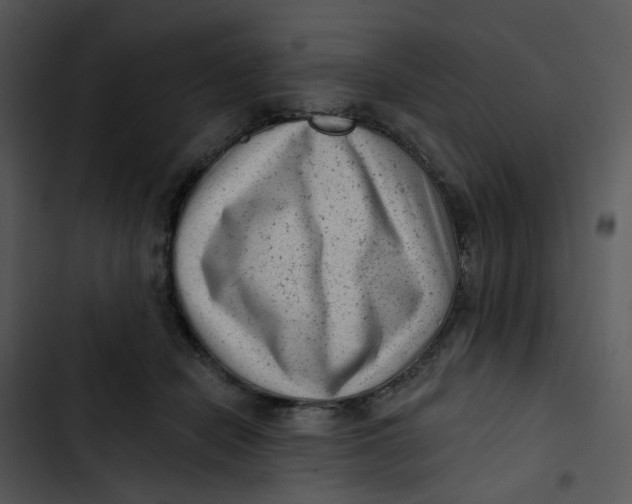 X0000102830462200809081159