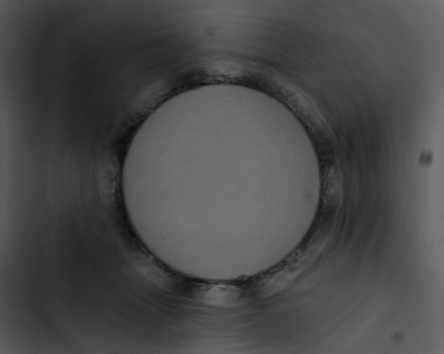 X0000102830463200809081159