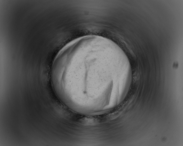 X0000102830464200809081159
