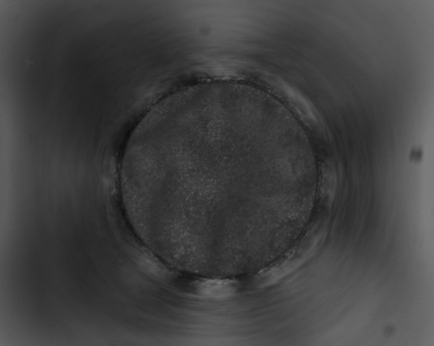 X0000102830465200809081159