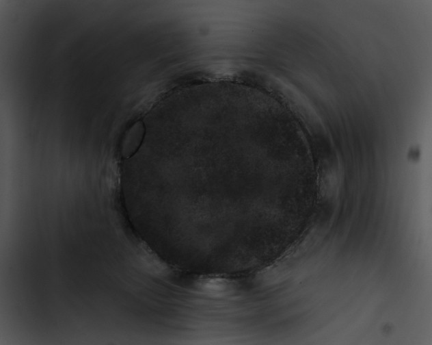 X0000102830467200809081159