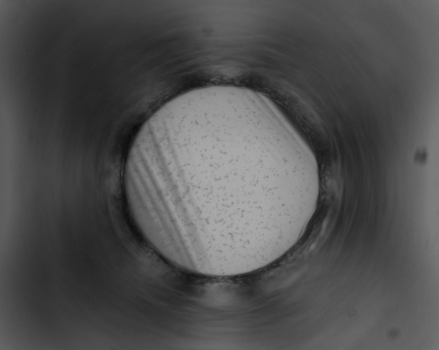 X0000102830468200809081159