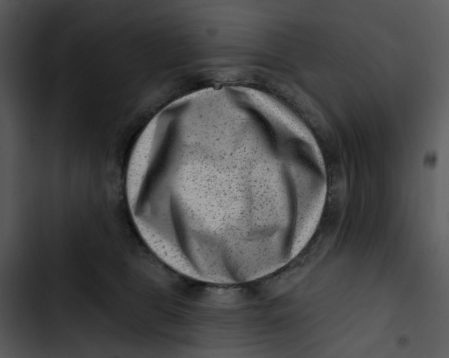 X0000102830469200809081159