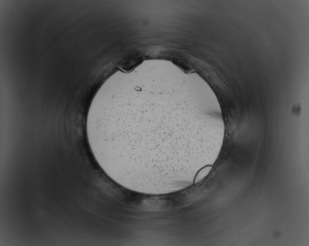X0000102830470200809081159