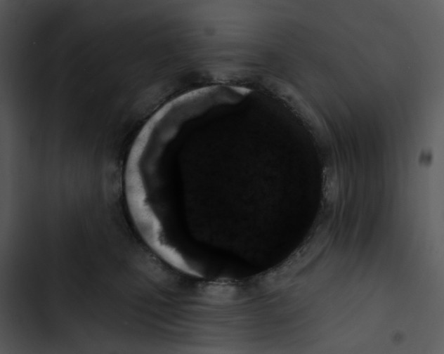 X0000102830471200809081159