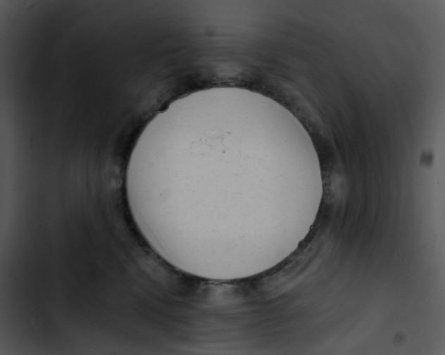 X0000102830472200809081159