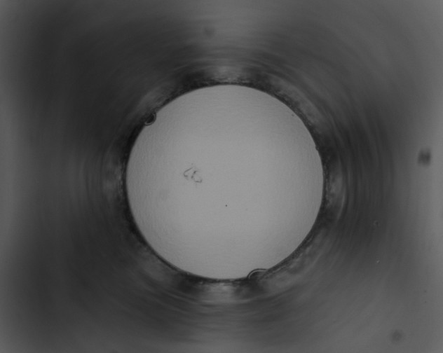 X0000102830473200809081159