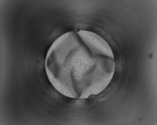 X0000102830474200809081159