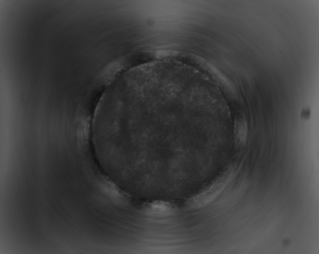 X0000102830475200809081159