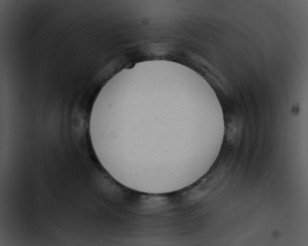 X0000102830476200809081159