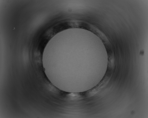 X0000102830477200809081159