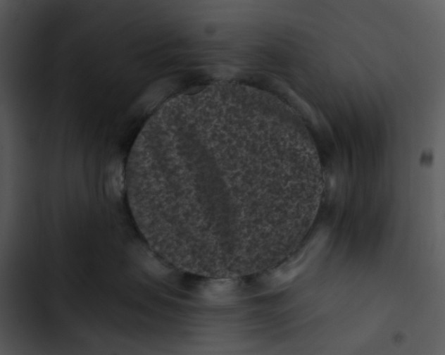 X0000102830479200809081159