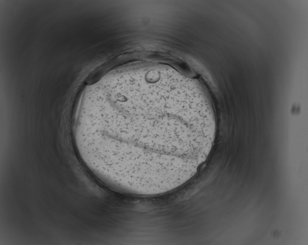 X0000102830481200809081159