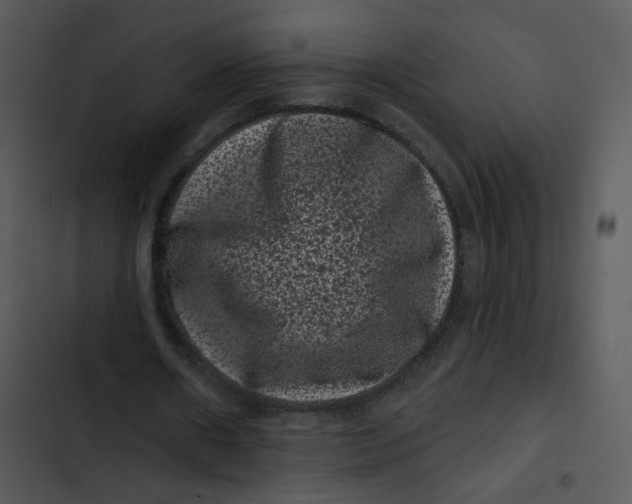 X0000102830482200809081159