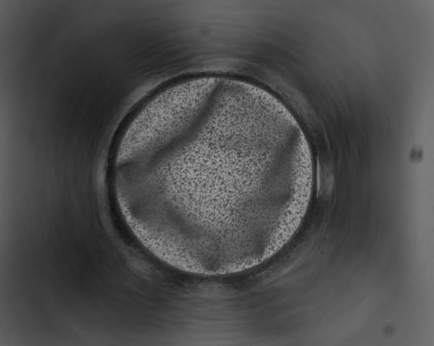 X0000102830483200809081159