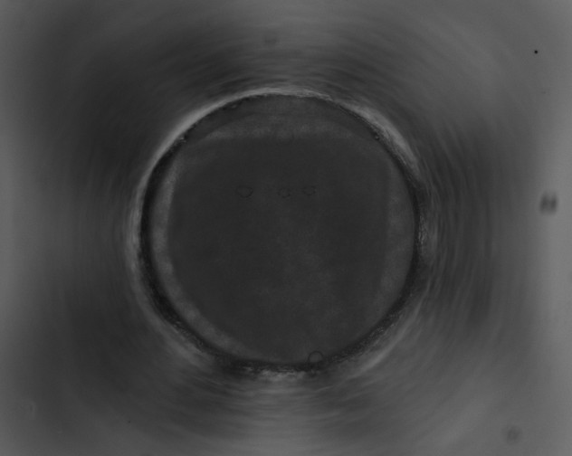 X0000102830484200809081159