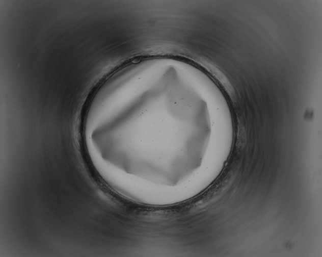 X0000102830485200809081159