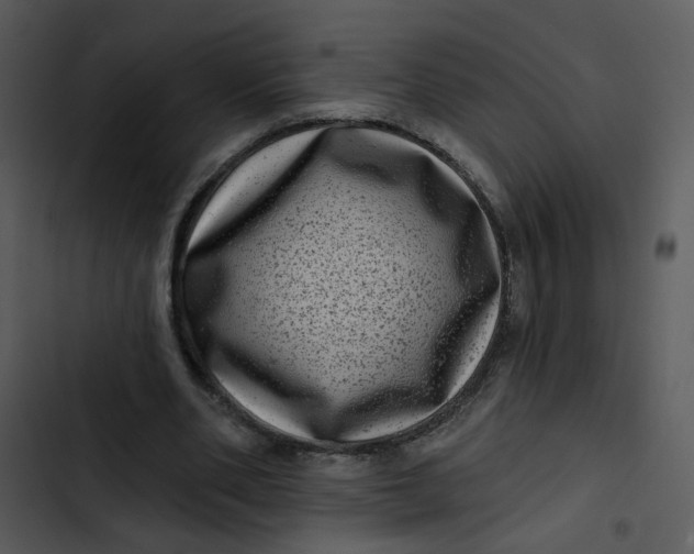 X0000102830486200809081159