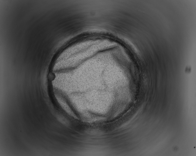 X0000102830487200809081159