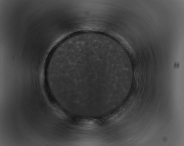 X0000102830488200809081159