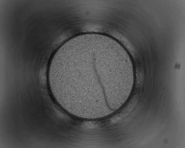 X0000102830489200809081159