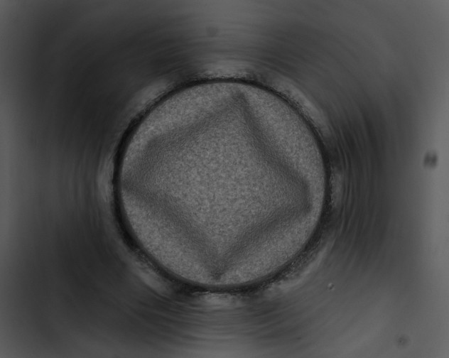 X0000102830490200809081159
