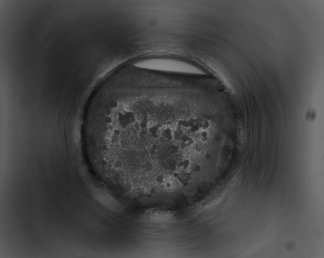 X0000102830491200809081159