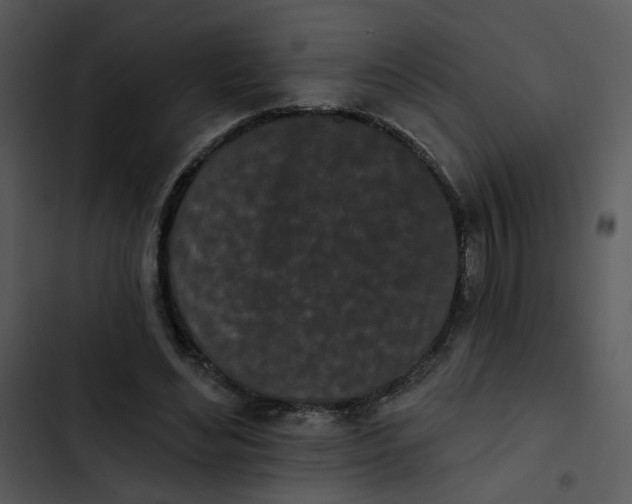 X0000102830492200809081159