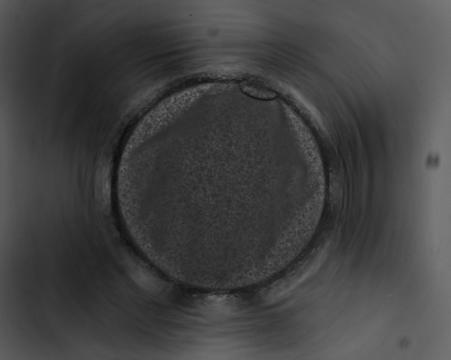 X0000102830493200809081159