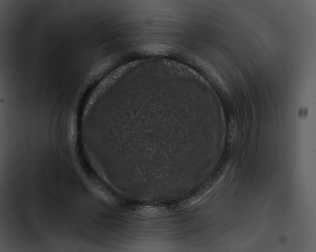X0000102830494200809081158