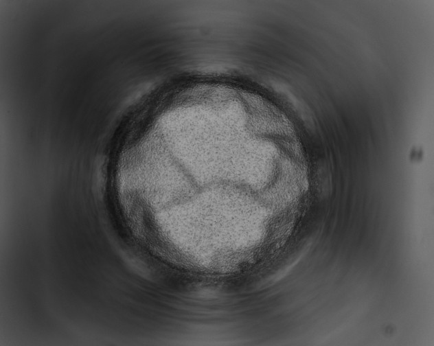 X0000102830495200809081158