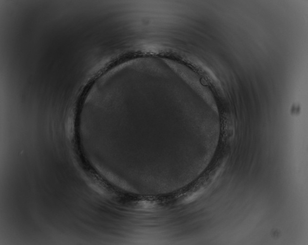 X0000102830496200809081158