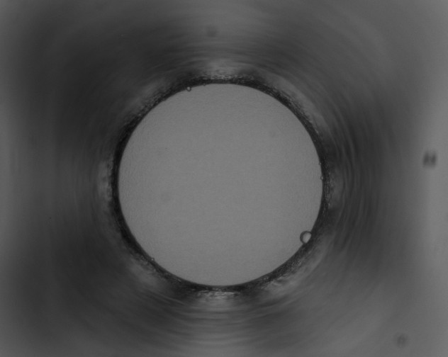 X0000102830497200809081158