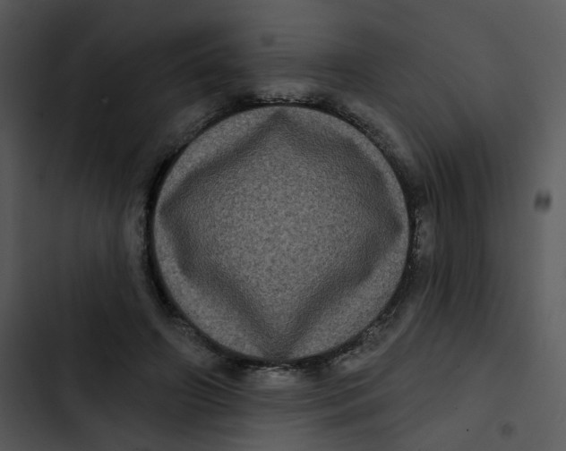 X0000102830498200809081158
