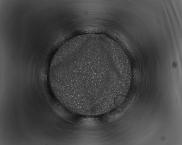 X0000102830499200809081158