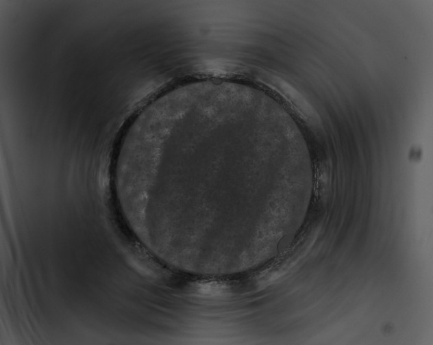 X0000102830500200809081158