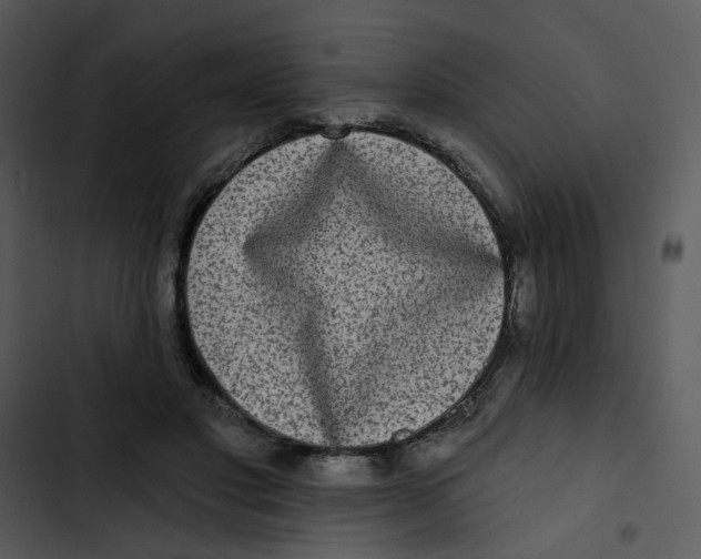 X0000102830501200809081158